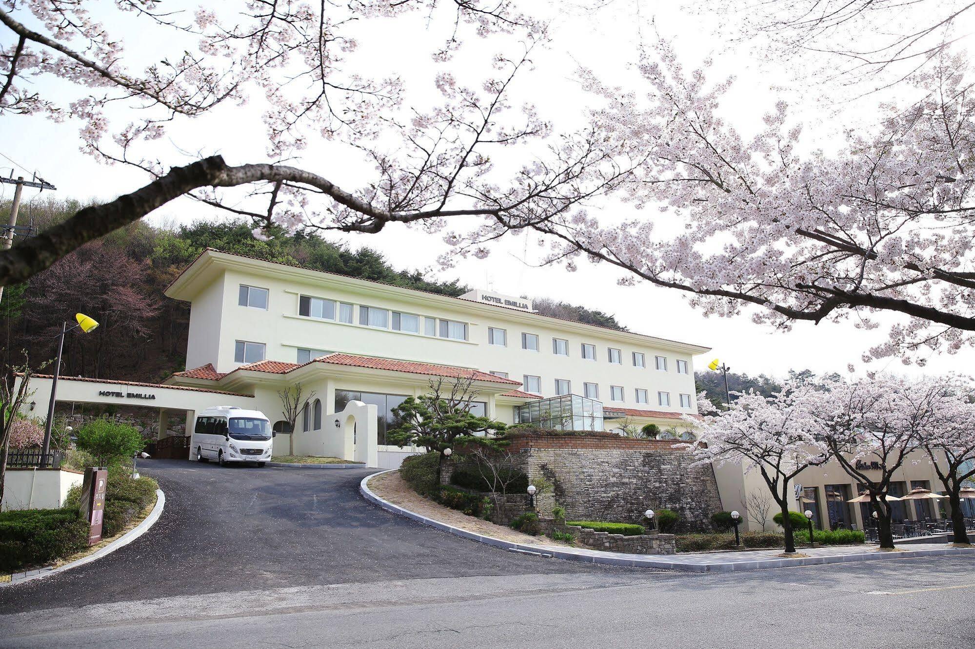 Palgong Emillia Hotel Daegu Exterior photo